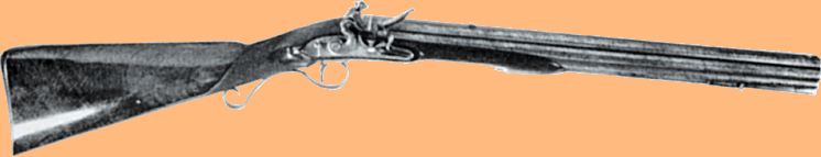 Henry Nock's 7 Barrelled Goose Rifle